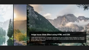 CSS Banner Slider Effect | Banner Image Hover Effect using Only CSS