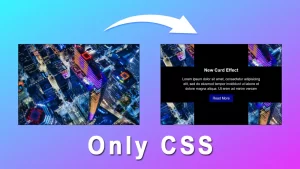 Card Hover Image Slice Effect With HTML CSS