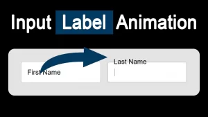 Input field label animation effect using  HTML and CSS